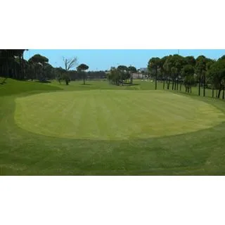 Compra AGROSTIS STOLONIFERA VALDERRAMA (11,30 Kgr.). en la tienda online Fito Agrícola