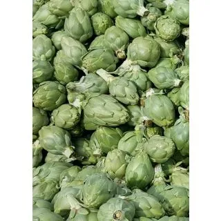 Compra ALCACHOFA GREEN TRIUMPH F1 (1.000 Semillas) en la tienda online Fito Agrícola