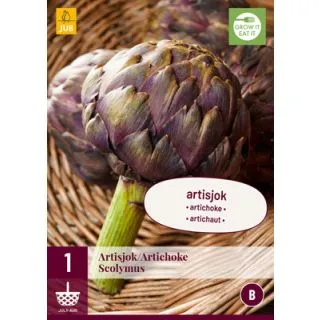 Compra ALCACHOFA MORADA en la tienda online Fito Agrícola
