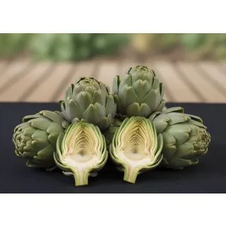 Compra ALCACHOFA NUM 4411 F1 EPS150 en la tienda online Fito Agrícola