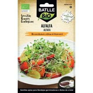 Compra ALFALFA MICROGREENS ECOLÓGICA (21 gr.). en la tienda online Fito Agrícola