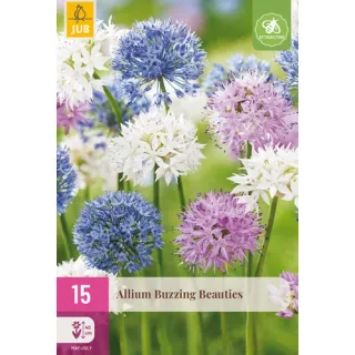 Compra ALLIUM BUZZING BEAUTIES XXL en la tienda online Fito Agrícola