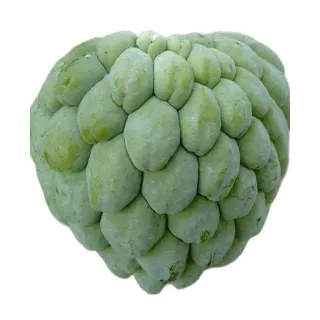 Compra ANÓN en la tienda online Fito Agrícola