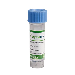 Compra APHELINE (250 Adultos) en la tienda online Fito Agrícola