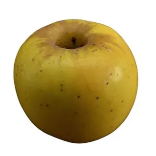 Compra MANZANO OZARK GOLD en la tienda online Fito Agrícola