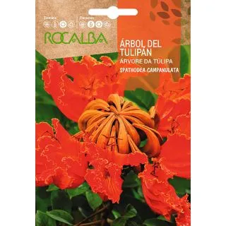 Compra ÁRBOL DEL TULIPÁN (0,5 gr.) en la tienda online Fito Agrícola