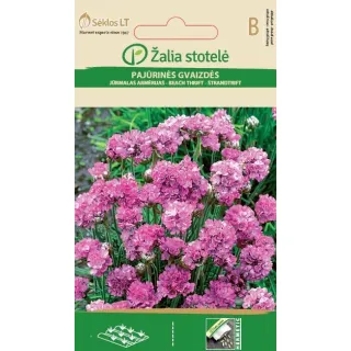 Compra ARMERIA SEA THRIFT (0,3 gr. - Cerca de 150 Semillas). en la tienda online Fito Agrícola