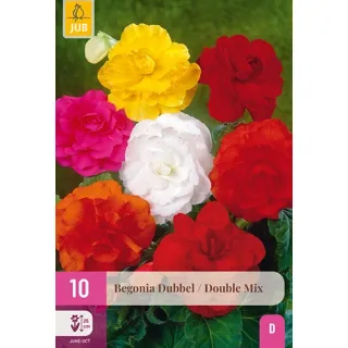 Compra BEGONIA DOBLE MIX XXL en la tienda online Fito Agrícola