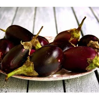 Compra BERENJENA NEGRA HOBBY FRESH M13 en la tienda online Fito Agrícola