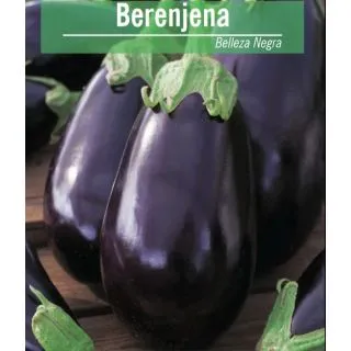 Compra BERENJENA BLACK BEAUTY ECO (100 gr.). en la tienda online Fito Agrícola