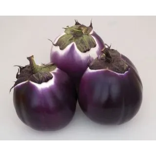 Compra BERENJENA BRILLANT F1 (1.000 Semillas) en la tienda online Fito Agrícola