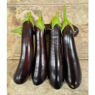 Compra BERENJENA CRAWELL F1 (1.000 Semillas) en la tienda online Fito Agrícola