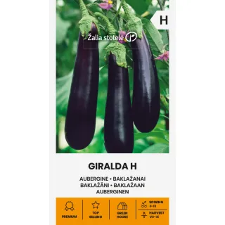 Compra BERENJENA GIRALDA F1 (0,1 gr. - Cerca de 20 Semillas). en la tienda online Fito Agrícola