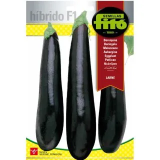 Compra BERENJENA LARNE F1 (1.000 Semillas) en la tienda online Fito Agrícola
