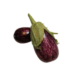 Compra BERENJENA LISTADA DE GANDÍA Sel. Batllepro (1000 Semillas). en la tienda online Fito Agrícola