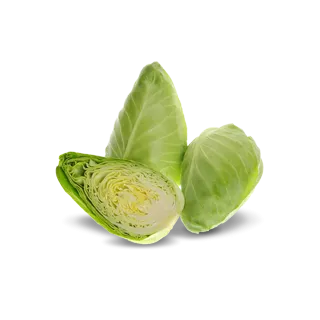 Compra COL BERLENGA F1 Calibrada (2.500 Semillas) en la tienda online Fito Agrícola