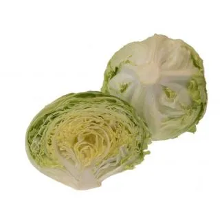 Compra LECHUGA BOLOGNIA Píldora Sphera (25.000 Semillas) en la tienda online Fito Agrícola