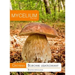 Compra MICELIO BOLETO RETICULADO Boletus reticulatus (10 gr.). en la tienda online Fito Agrícola