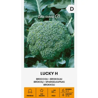 Compra BRÓCOLI LUCKY F1 Pildorado (30 Semillas) en la tienda online Fito Agrícola
