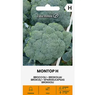 Compra BRÓCOLI MONTOP F1 Pildorado (0,1 gr. - Cerca de 13 Semillas). en la tienda online Fito Agrícola