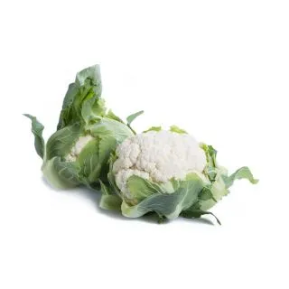 Compra COLIFLOR BRIGANT RZ F1 (2.500 Semillas). en la tienda online Fito Agrícola