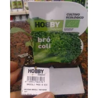 Compra BROCOLI ECOLÓGICO MSE6 en la tienda online Fito Agrícola