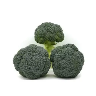 Compra BRÓCOLI TINOS F1 (2.500 Semillas) en la tienda online Fito Agrícola