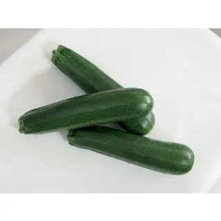 Compra CALABACÍN KIMBER F1 BIO (50 Semillas) en la tienda online Fito Agrícola