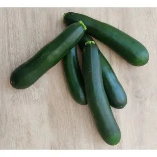 Compra CALABACÍN CONSTANTINO F1 (1.000 Semillas) en la tienda online Fito Agrícola