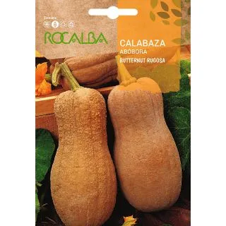 Compra CALABAZA BUTTERNUT RUGOSA (500 gr.). en la tienda online Fito Agrícola