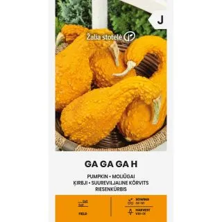 Compra CALABAZA GA GA GA F1 (1 gr. - Cerca de 5 Semillas). en la tienda online Fito Agrícola