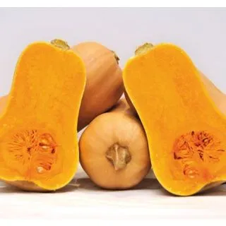 Compra CALABAZA HANNAH F1 ECOLÓGICA (1000 Semillas). en la tienda online Fito Agrícola