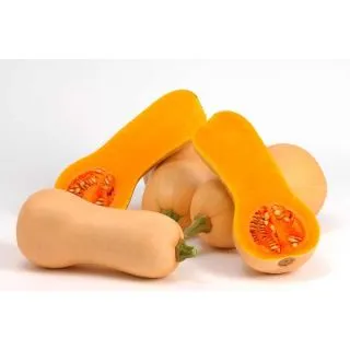 Compra CALABAZA MIELUNA F1 (1000 Semillas). en la tienda online Fito Agrícola