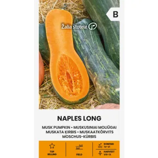 Compra CALABAZA NAPLES LONG (1,5 gr.). en la tienda online Fito Agrícola