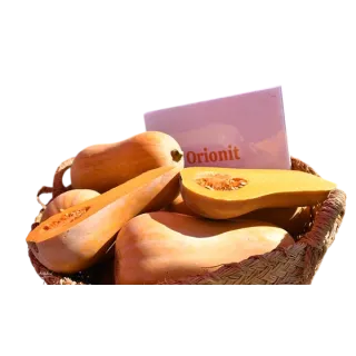 Compra CALABAZA ORIONIT F1 (1000 Semillas). en la tienda online Fito Agrícola