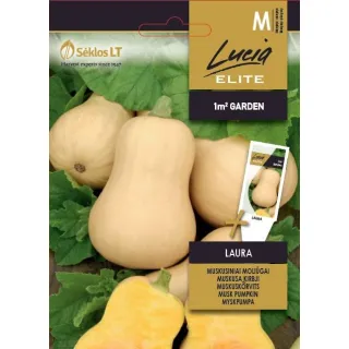 Compra CALABAZA WINTER LAURA (1 gr.). en la tienda online Fito Agrícola
