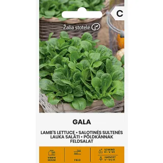 Compra CANÓNIGO GALA (1 gr. - Cerca de 700 Semillas). en la tienda online Fito Agrícola