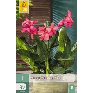 Compra CANNA SHINING PINK en la tienda online Fito Agrícola