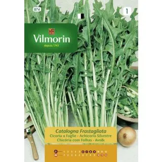 Compra ACHICORIA CATALOGNA FRASTAGLIATA (12 gr.). en la tienda online Fito Agrícola