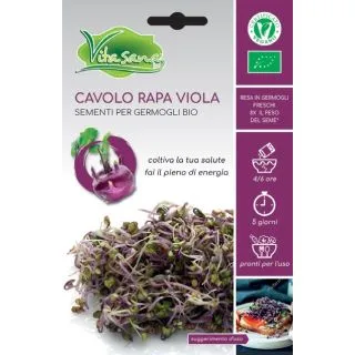 Compra COLIRRÁBANO VIOLETA MICROGREENS BIO (10 gr.) en la tienda online Fito Agrícola