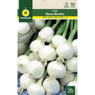 Compra CEBOLLA BARLETTA (500 gr.). en la tienda online Fito Agrícola