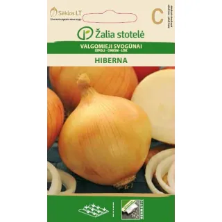 Compra CEBOLLA HIBERNA (2 gr. - Cerca de 500 Semillas). en la tienda online Fito Agrícola
