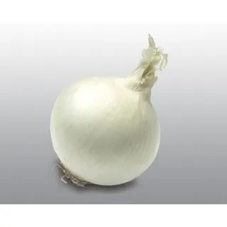 Compra CEBOLLA KEPLERO F1 (100.000 Semillas) en la tienda online Fito Agrícola