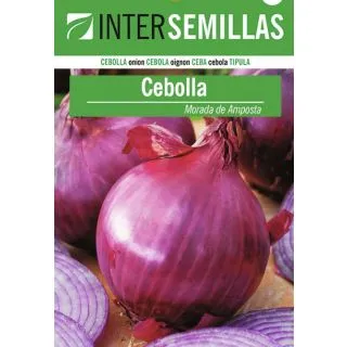 Compra CEBOLLA MORADA DE AMPOSTA (100 gr.). en la tienda online Fito Agrícola