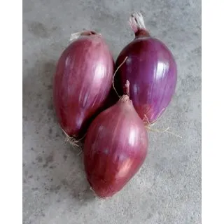 Compra CEBOLLA ROSSA DI TROPEA LUNGA (50 gr.) en la tienda online Fito Agrícola