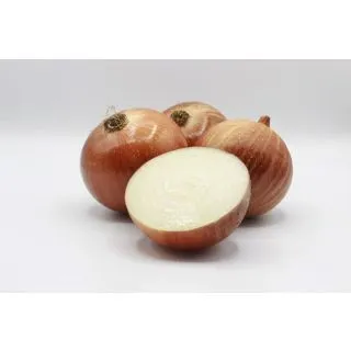 Compra CEBOLLA SIRIO Pildorada (5.000 Semillas) en la tienda online Fito Agrícola