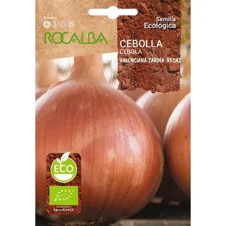 Compra CEBOLLA VALENCIANA TARDÍA RECAS ECOLÓGICA (100 gr.) en la tienda online Fito Agrícola