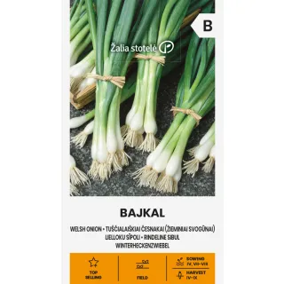 Compra CEBOLLINO BAJKAL (1,5 gr.)./(2 gr.) en la tienda online Fito Agrícola
