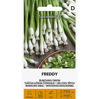 Compra CEBOLLINO FREDDY (1gr. - Cerca de 275 Semillas). en la tienda online Fito Agrícola