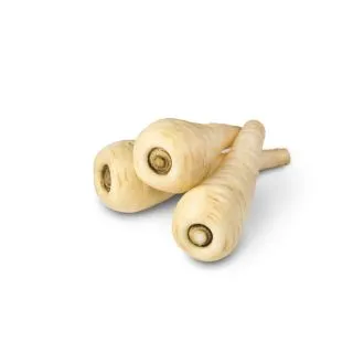 Compra CHIRIVÍA ALBION F1 Sin Tratar (25.000 Semillas) en la tienda online Fito Agrícola